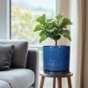 Plant Water Catcher Tray - Ceramic Plant Saucer for Outdoors 8 Inch Plant Pot Saucer Plant Drip Tray for Potted Plants Drainage Decorative Round Flower Pot Saucer Blue - Image 2